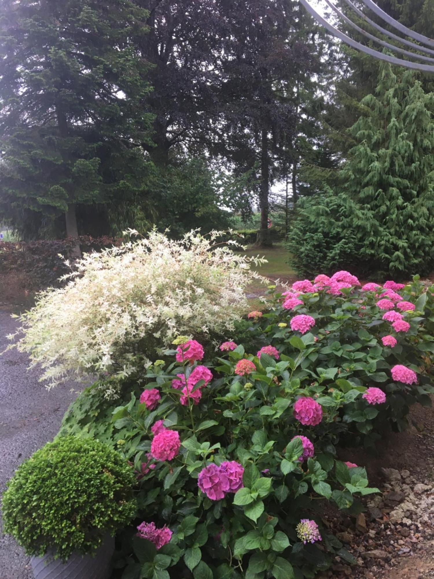 Villa Chanteraine Fleury  외부 사진